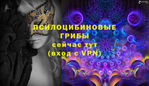 круглые Алзамай