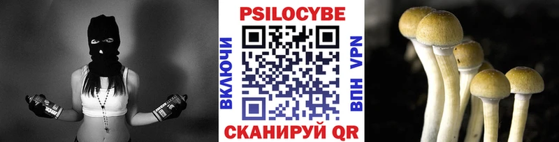 Галлюциногенные грибы Magic Shrooms  где найти   Алушта 